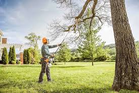 Best Tree Removal Service  in Vergennes, VT